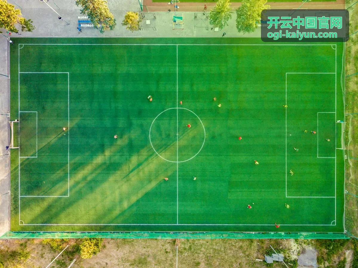 开云中国官网账户安全防护封面图