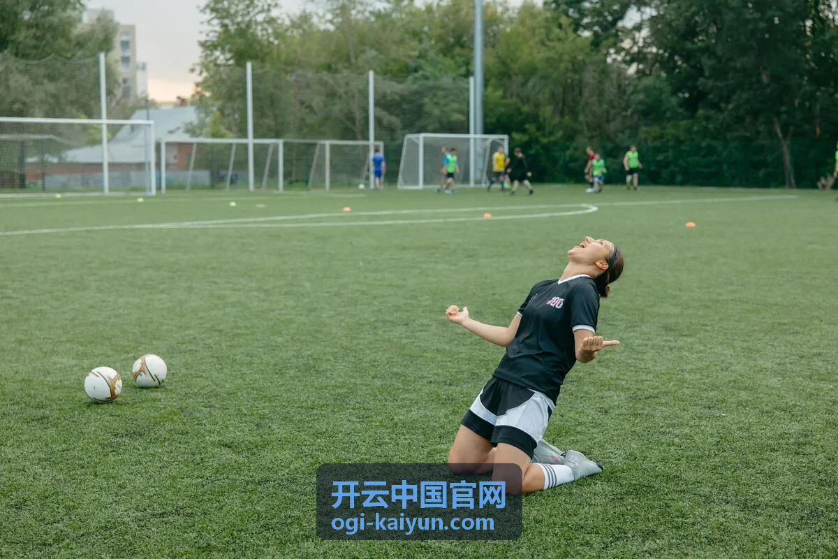 开云中国官网平台服务优化界面
